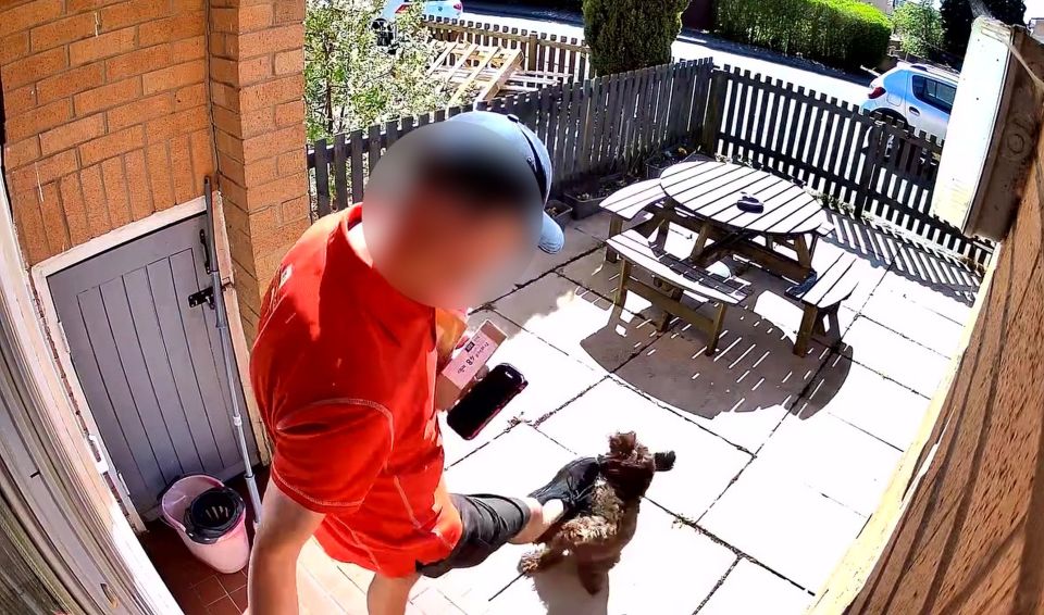 CCTV footage of a postman kicking a dog.