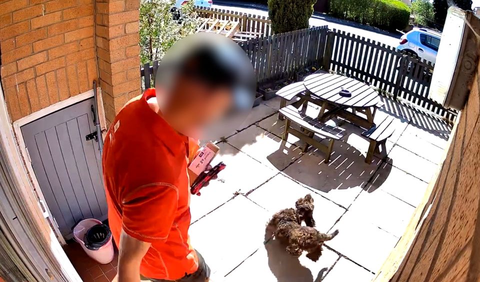 CCTV footage of a postman kicking a dog.