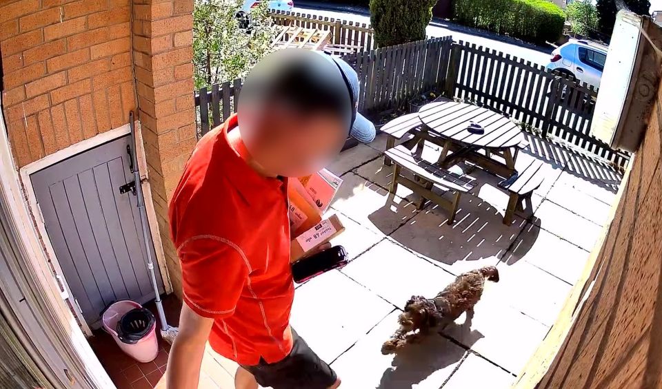CCTV footage of a postman kicking a dog.