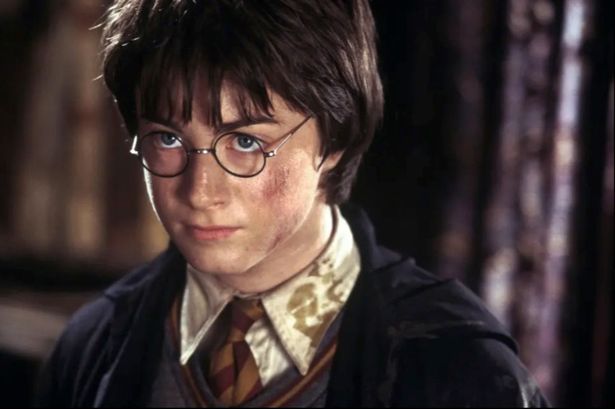 Daniel Radcliffe as Harry Potter