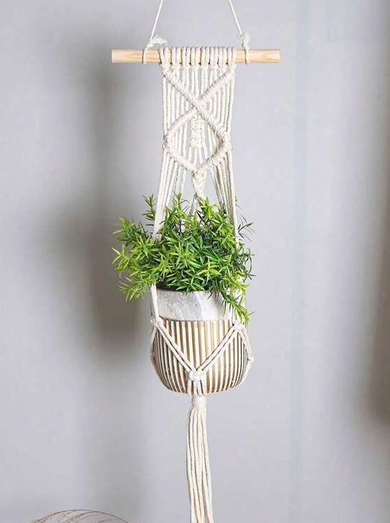 Macrame plant hanger with small potted plant.