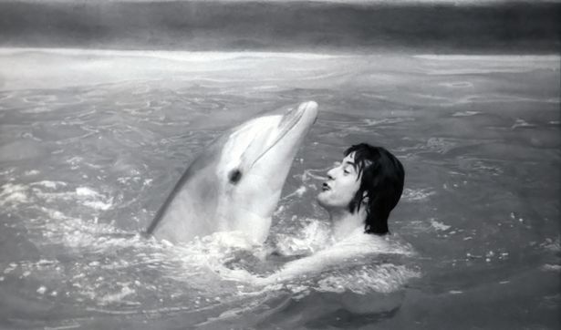 David was chosen to be a dolphin trainer at the age of 17 - and worked hard to become the UK's top trainer
