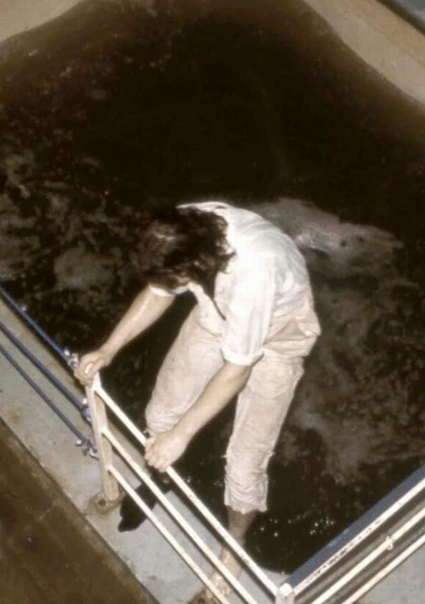 David pictured climbing out of a filthy pool at Knowsley during one of his late-night draining missions