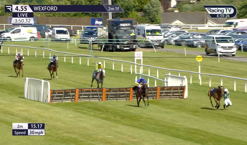 Horse race at Wexford.