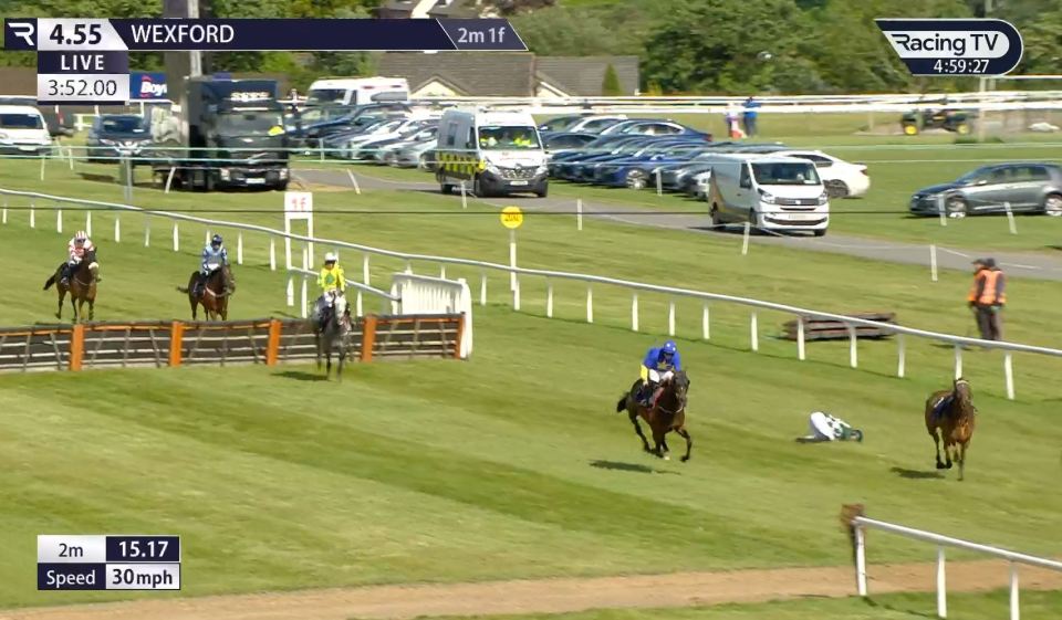 Horse race at Wexford, a jockey has fallen.