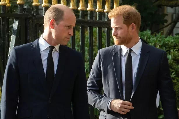 Princes William and Harry have been feuding for several years
