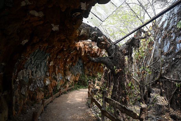 This photograph taken on April 27, 2019 shows the interiors of the derelict dragon-themed structure at the now-abandoned Ho Thuy Tien Waterpark in the central Vietnamese city of Hue. - The graffiti-covered abandoned water park has become an off-the-beaten track attraction in Vietnam's former imperial capital of Hue, drawing tourists from the citys more conventional visitor must-sees like the citadel and ancient tombs. (Photo by Manan VATSYAYANA / AFP)        (Photo credit should read MANAN VATSYAYANA/AFP via Getty Images)