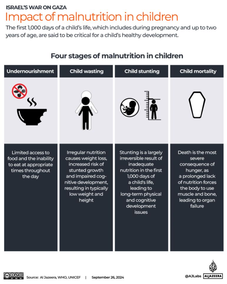 Interactive_Gaza_Stunting and Wasting_Malnutrition_Starvation_Hunger