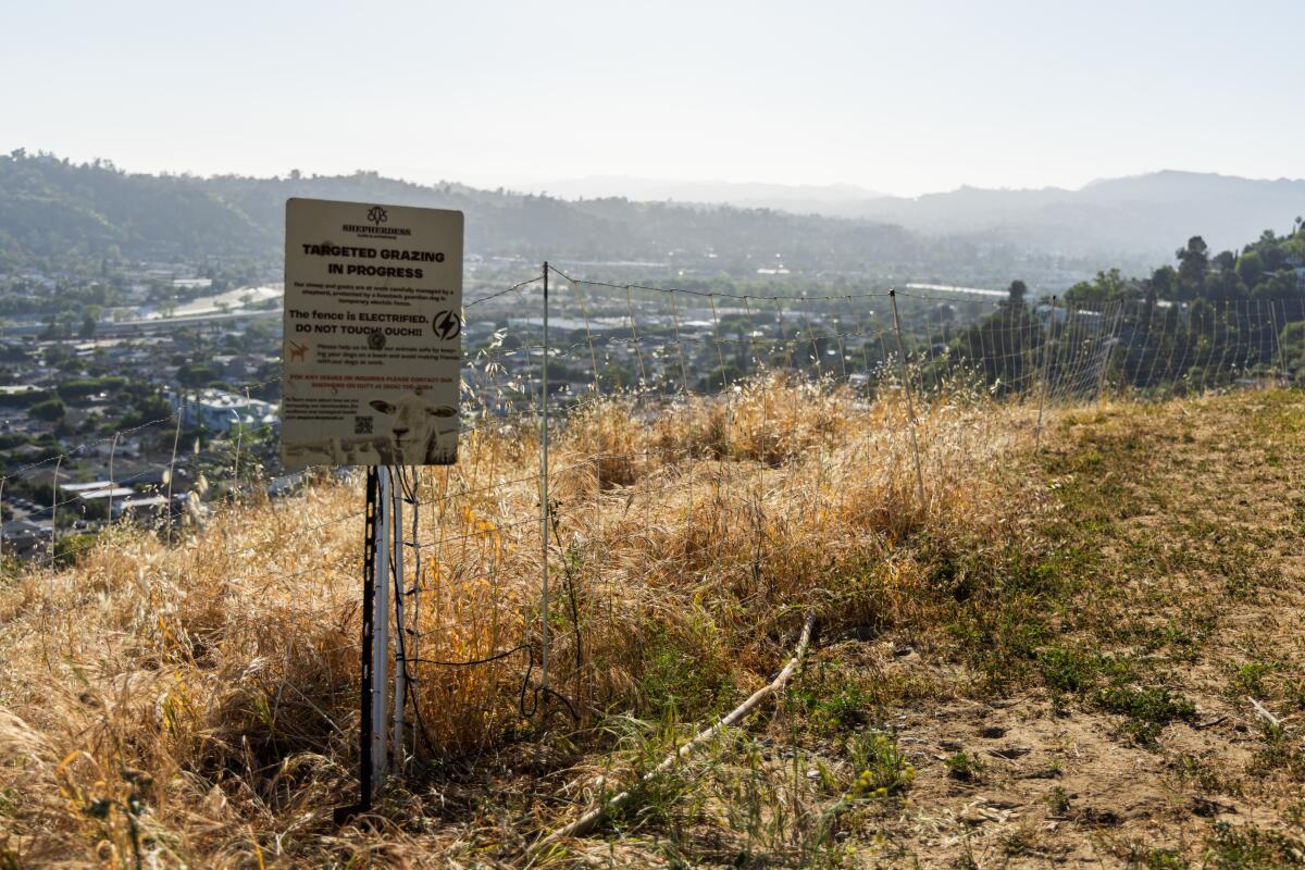A sign explaining this is a targeted grazing stands next to an electric fence at the top of Kite Hill in Mount Washington