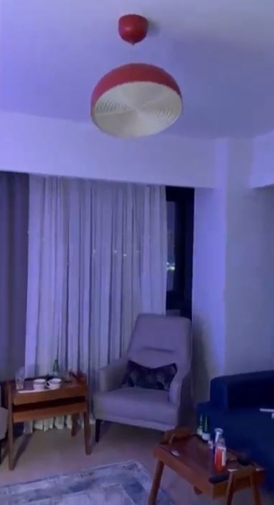 Living room with a red ceiling lamp, armchair, and sofa.