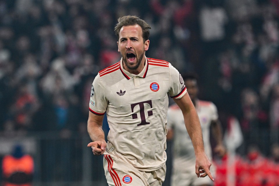Harry Kane celebrating a goal.