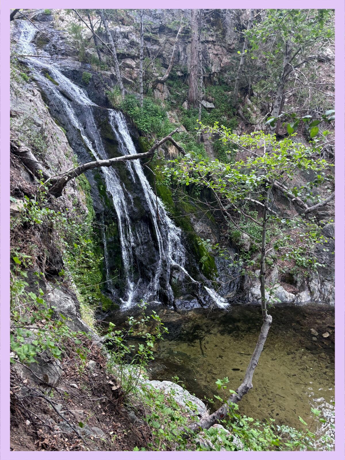 A 25-foot waterfall falls gently down a mossy hill