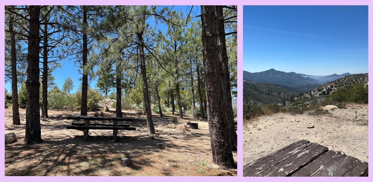 Tree-shaded campsites and campsites with views of the surrounding mountains.