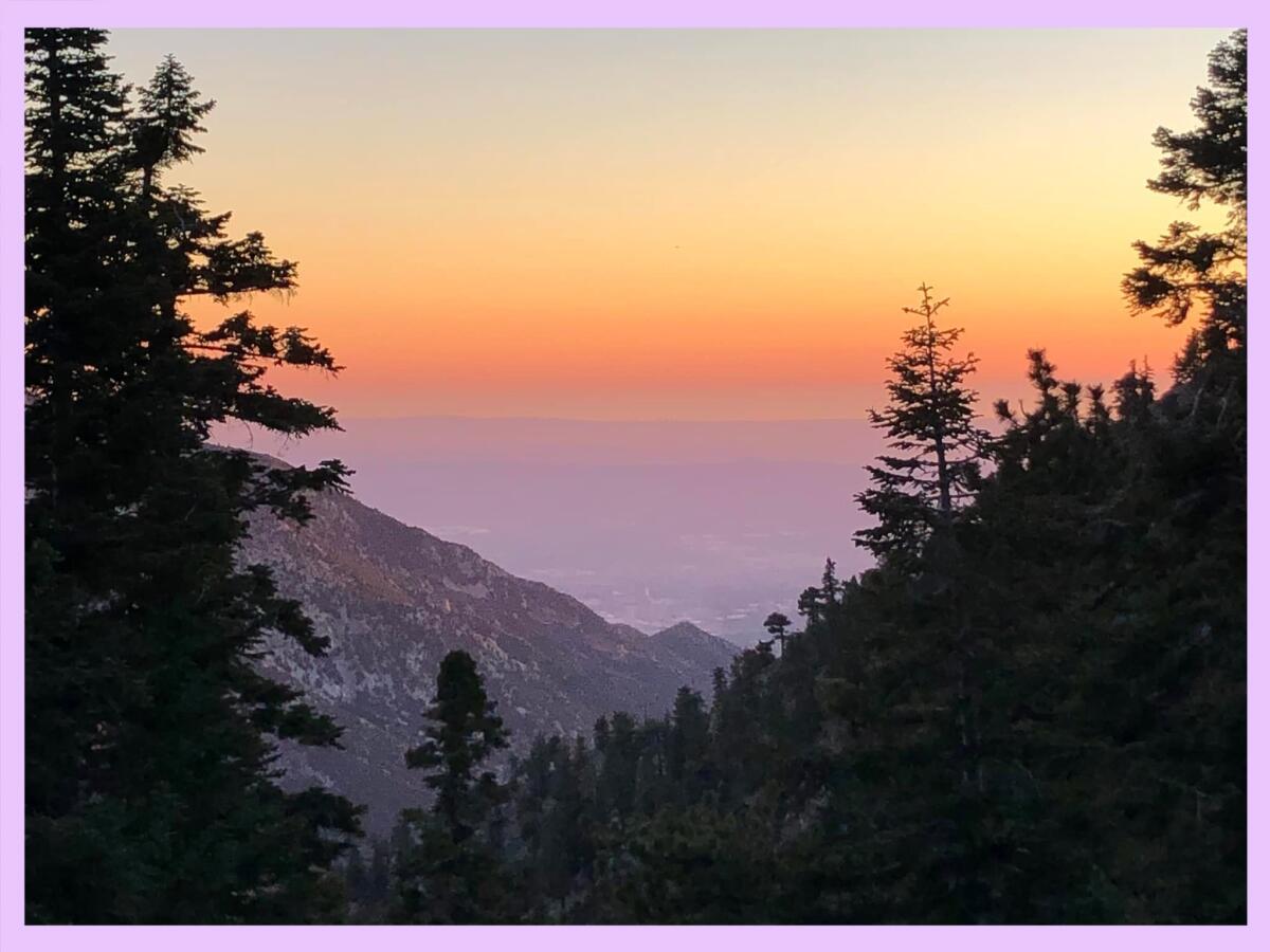 View of the sunset through silhouetted trees from the trail to Mt. Baldy.