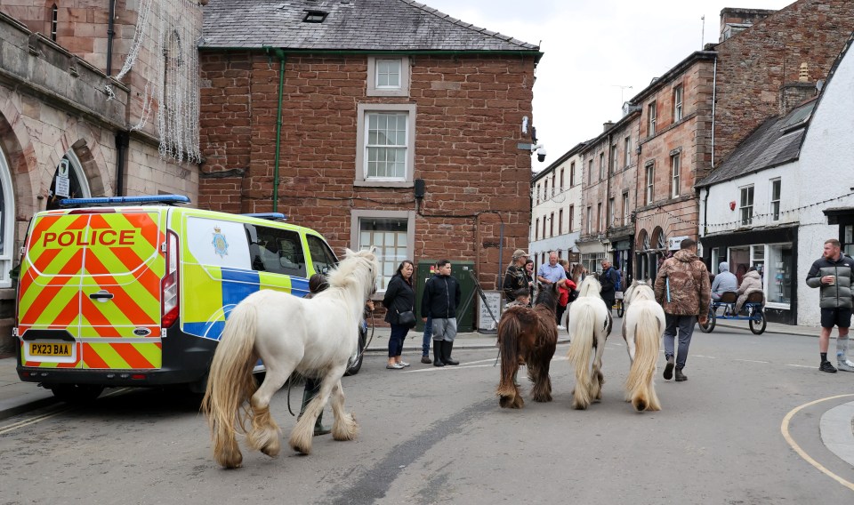 Horses and a police van at the Appleby Horse Fair.
