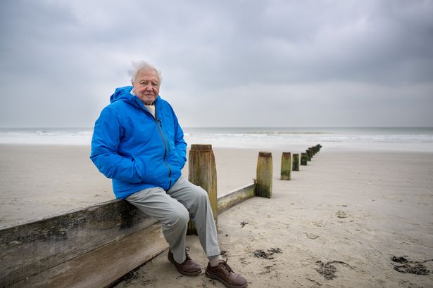 Sir David Attenborough raises the alarm bell for our oceans 