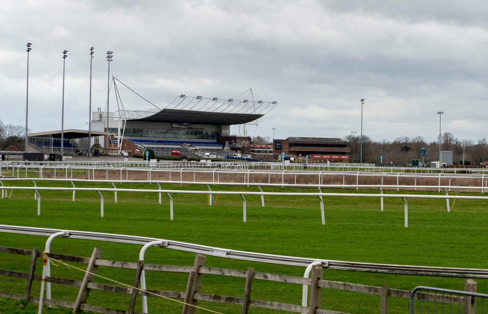 Kempton Park Racecourse viewed from across a grassy field.