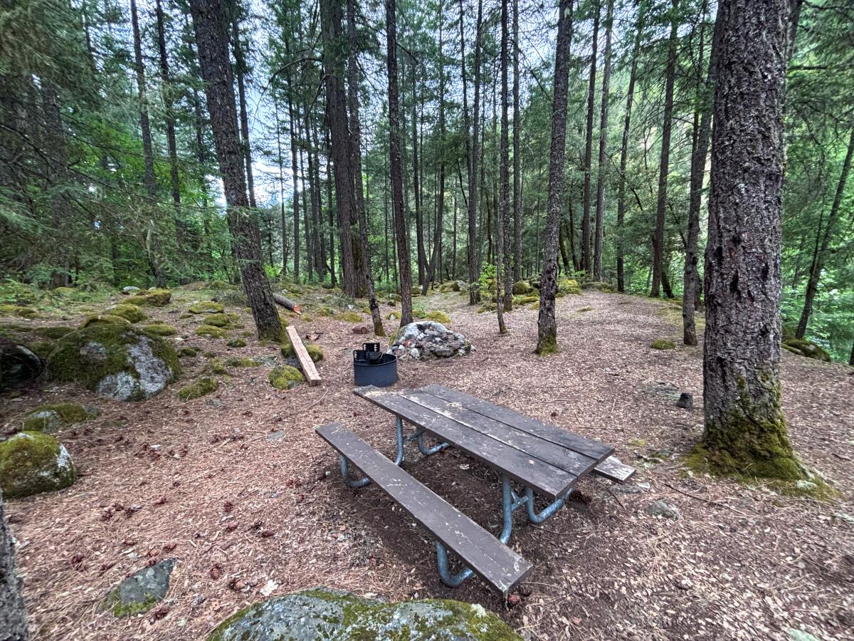 A picnic table in the wilderness.