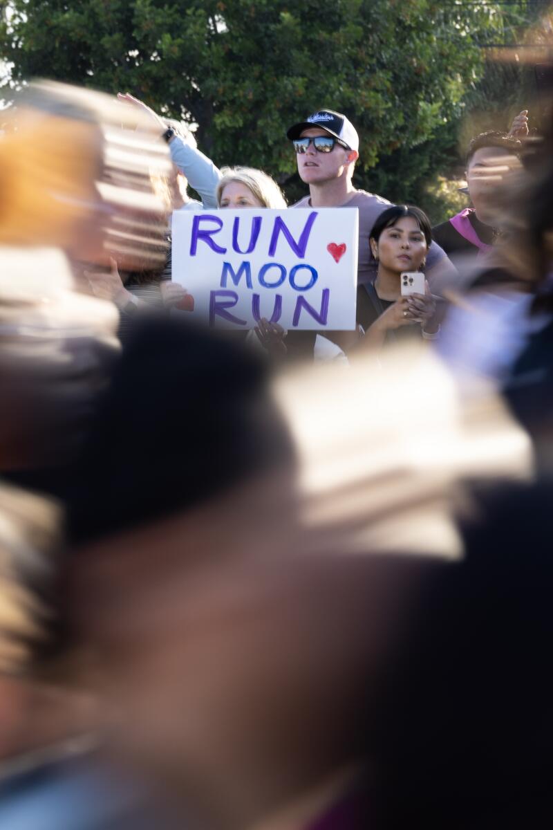 Supporters cheer and hold signs as runners embark on the Nike After Dark half marathon at SoFi Stadium.