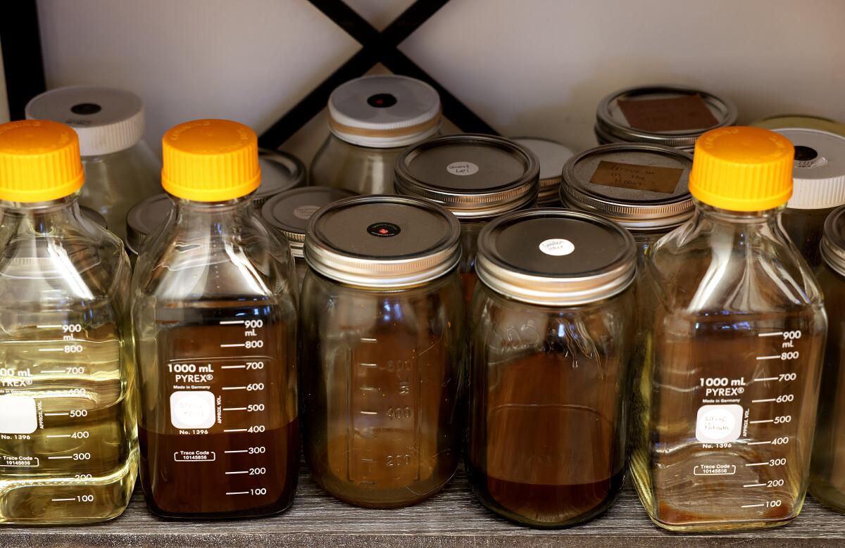 Bottles of perfume sit for several weeks to let the chemical processes take place.