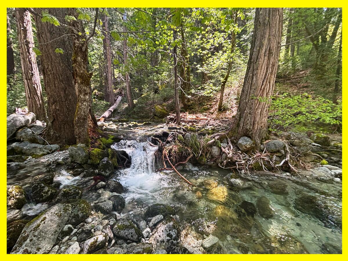A creek with trees and rocks on either side.