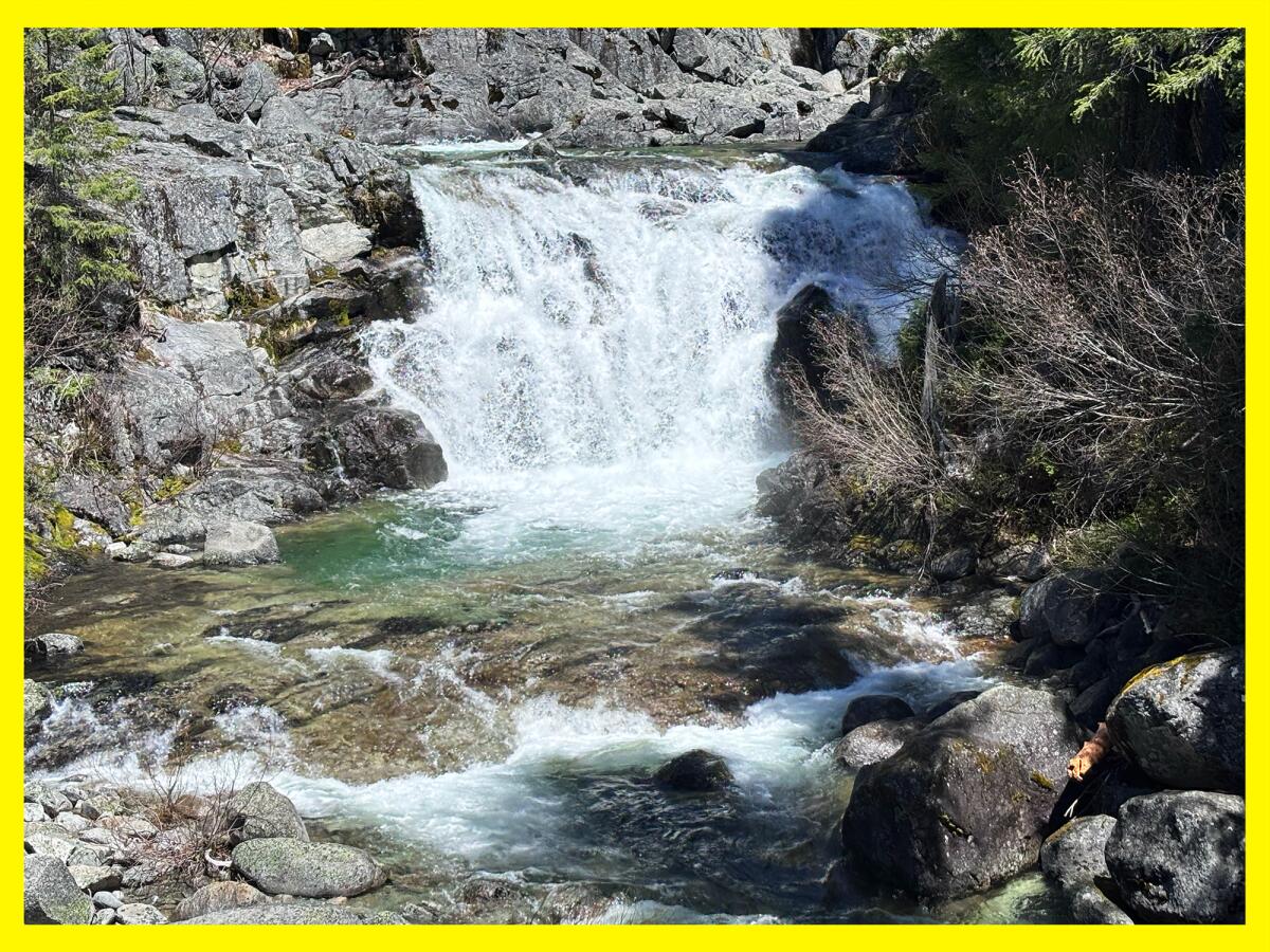 Short falls off rocks.
