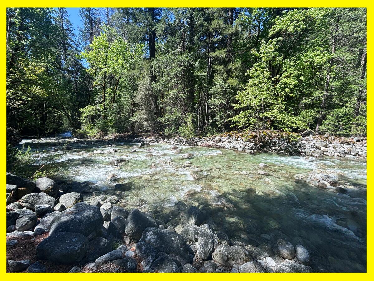 A river flows through wooded area near small pools of water.