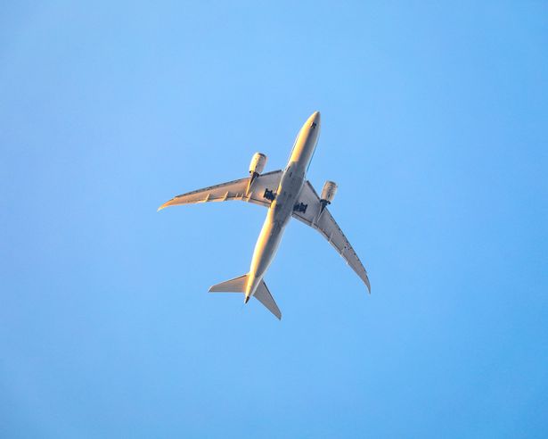 A stunning shot of a Boeing 787-8 Dreamliner captured from below as it prepares to land in the afternoon. The aircraft is illuminated by the golden sunlight, highlighting its sleek design and powerful engines. The clear blue sky provides a perfect backdrop, emphasizing the grandeur of this advanced commercial jetliner. This image showcases the marvels of modern aviation and the elegance of the Dreamliner as it descends gracefully towards the runway.