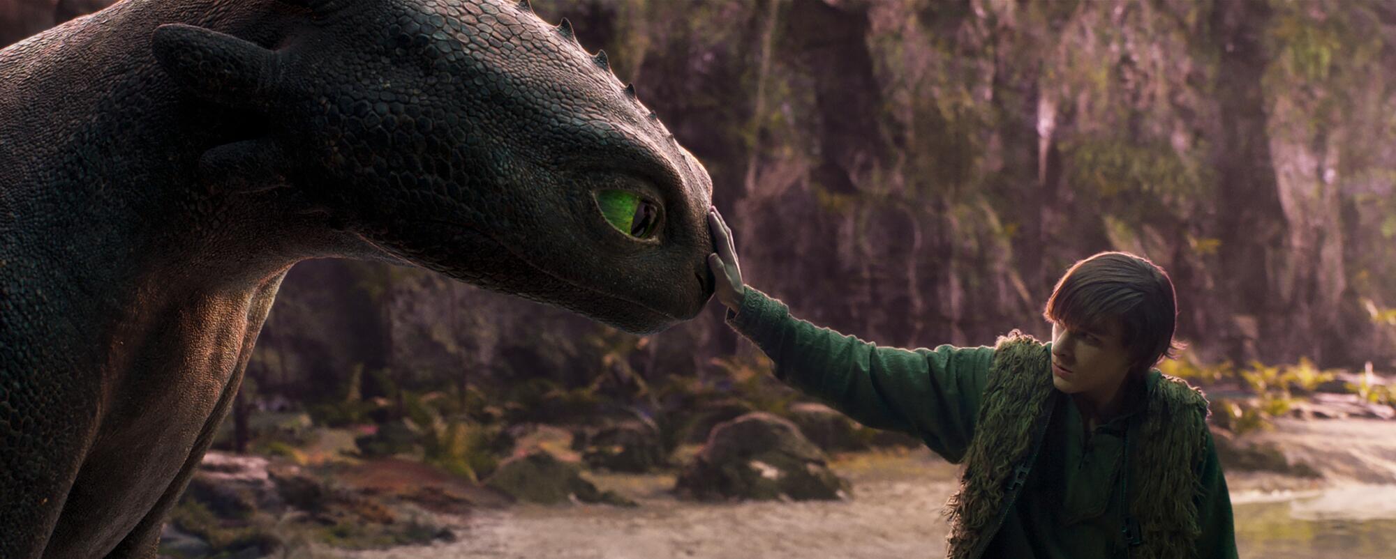 A boy puts his hand on a dragon's snout.