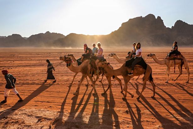 Camels