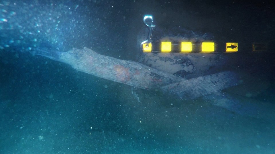 Underwater photo of a timber from the wreck of Captain Cook's Endeavour.