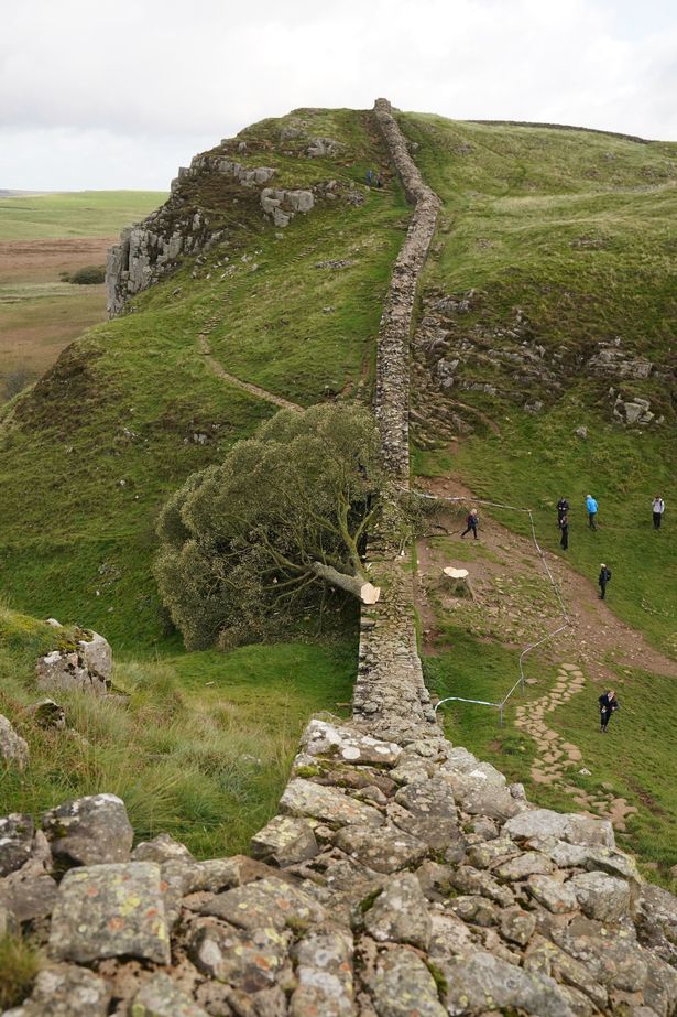 Image of ruins of Hadrian's Wall