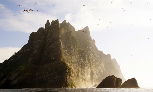 The steep cliffs of St Kilda. The Saint Kilda archipelago contains the largest colony in Europe with more than 60 000 nests, United Kingdom