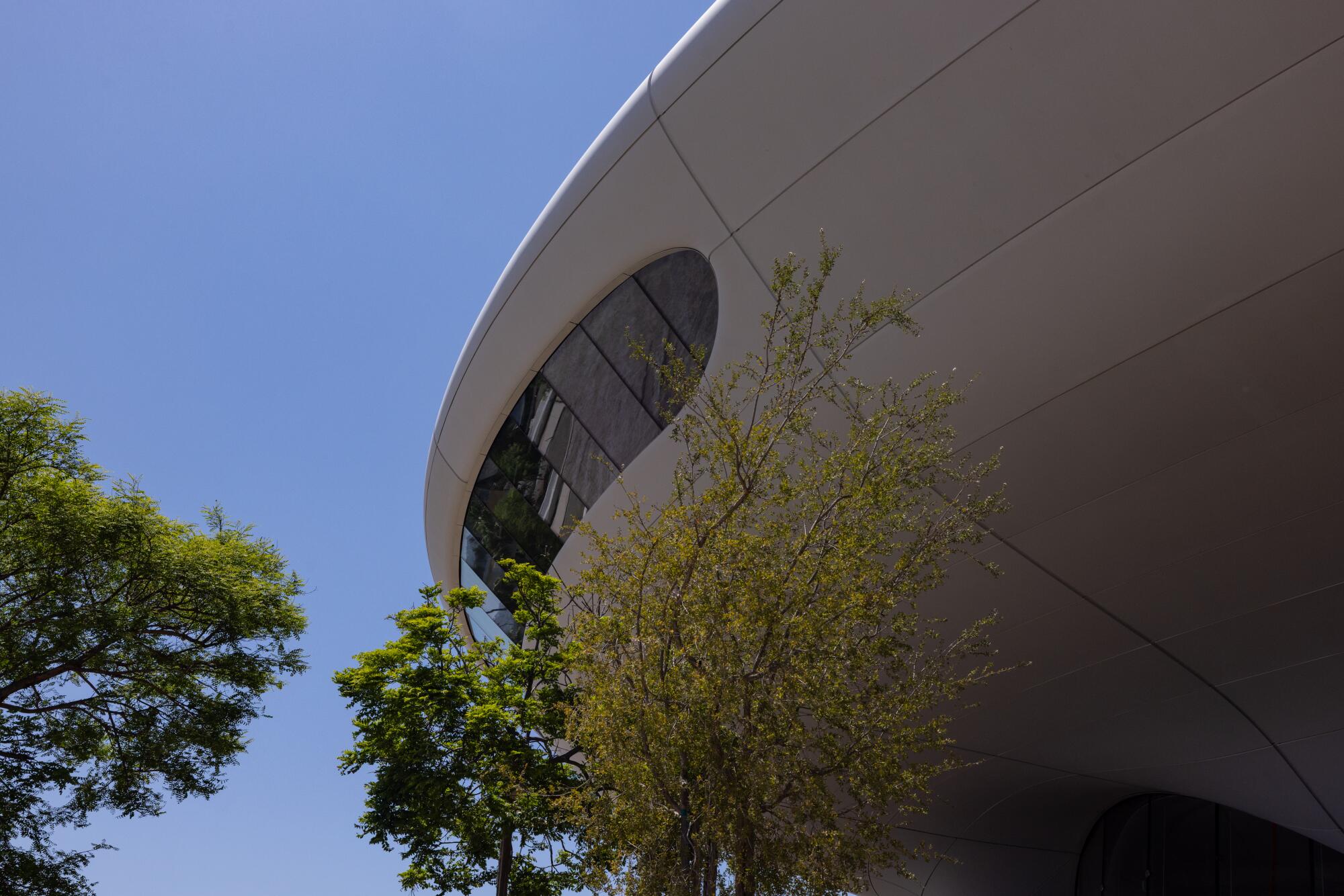 Another view of the futuristic museum, its edges soften by mature trees.