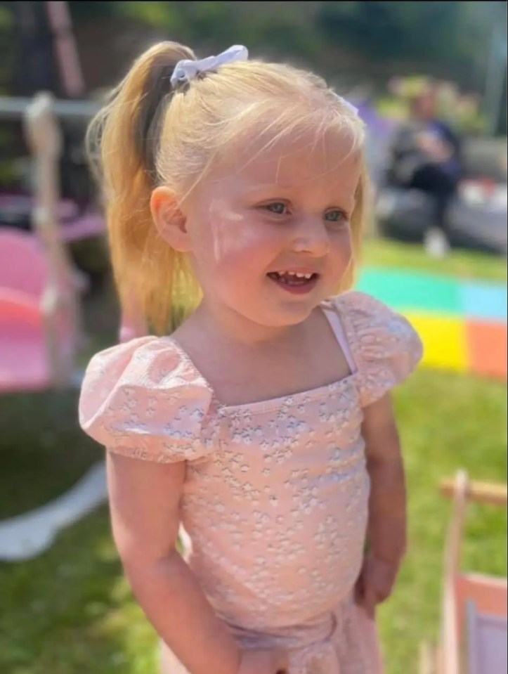 Photo of a toddler girl in a pink dress.