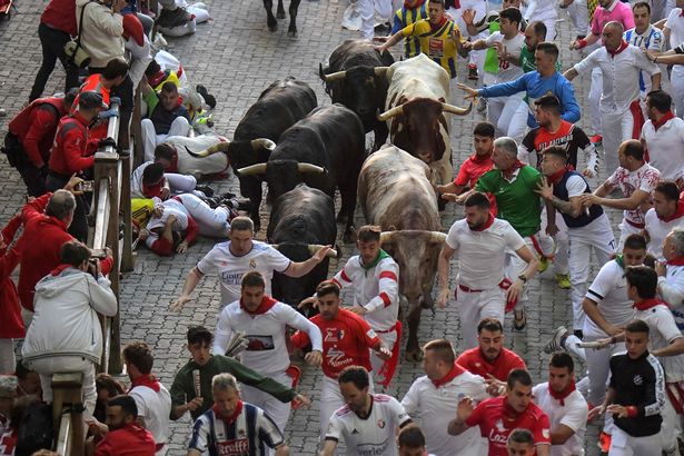 Participants run ahead of bulls during the "encierro" (bull-run) of the San Fermin festival in Pamplona