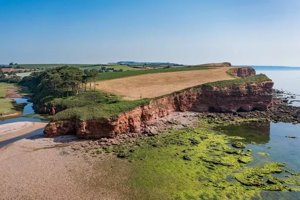 Cliffs, beach and sea on a clear sunny day over Budleigh Salterton, Devon, UK