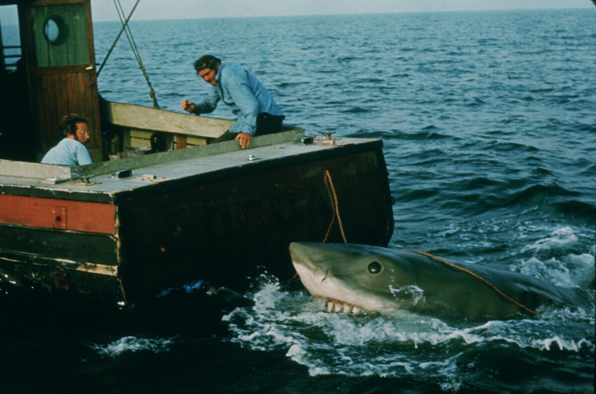 The shark from "Jaws" looking for a good bite in the 1975 film.