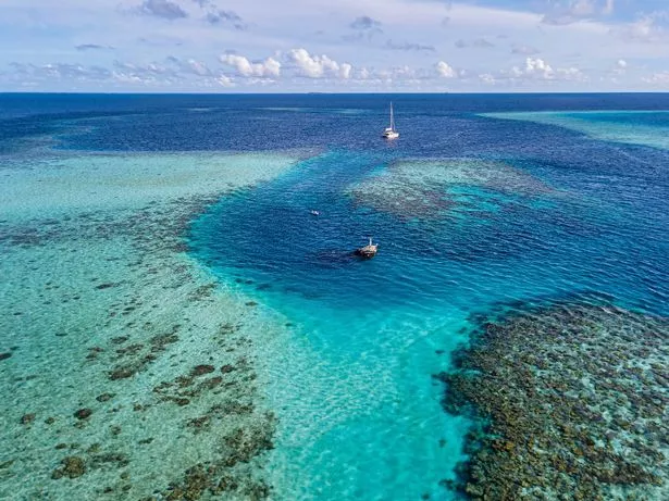 Aerial view of catamaran on sea, Maldives