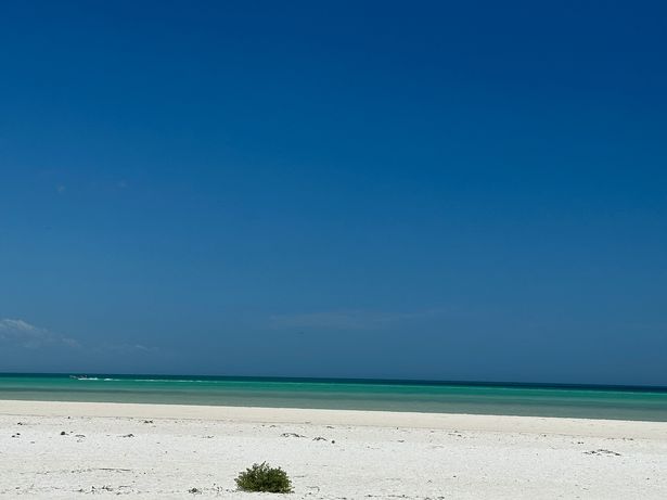 Punta Mosquito