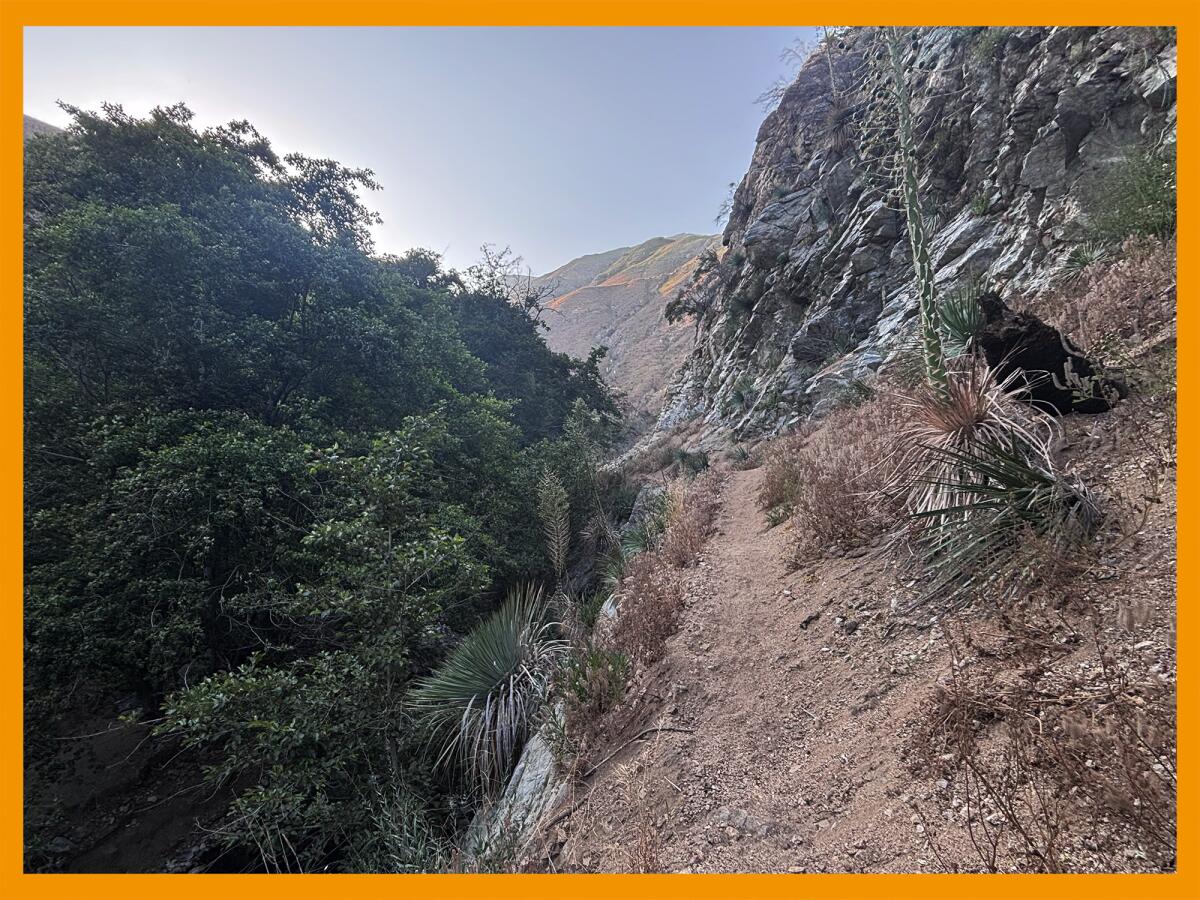 Steep drop off on side of trail.