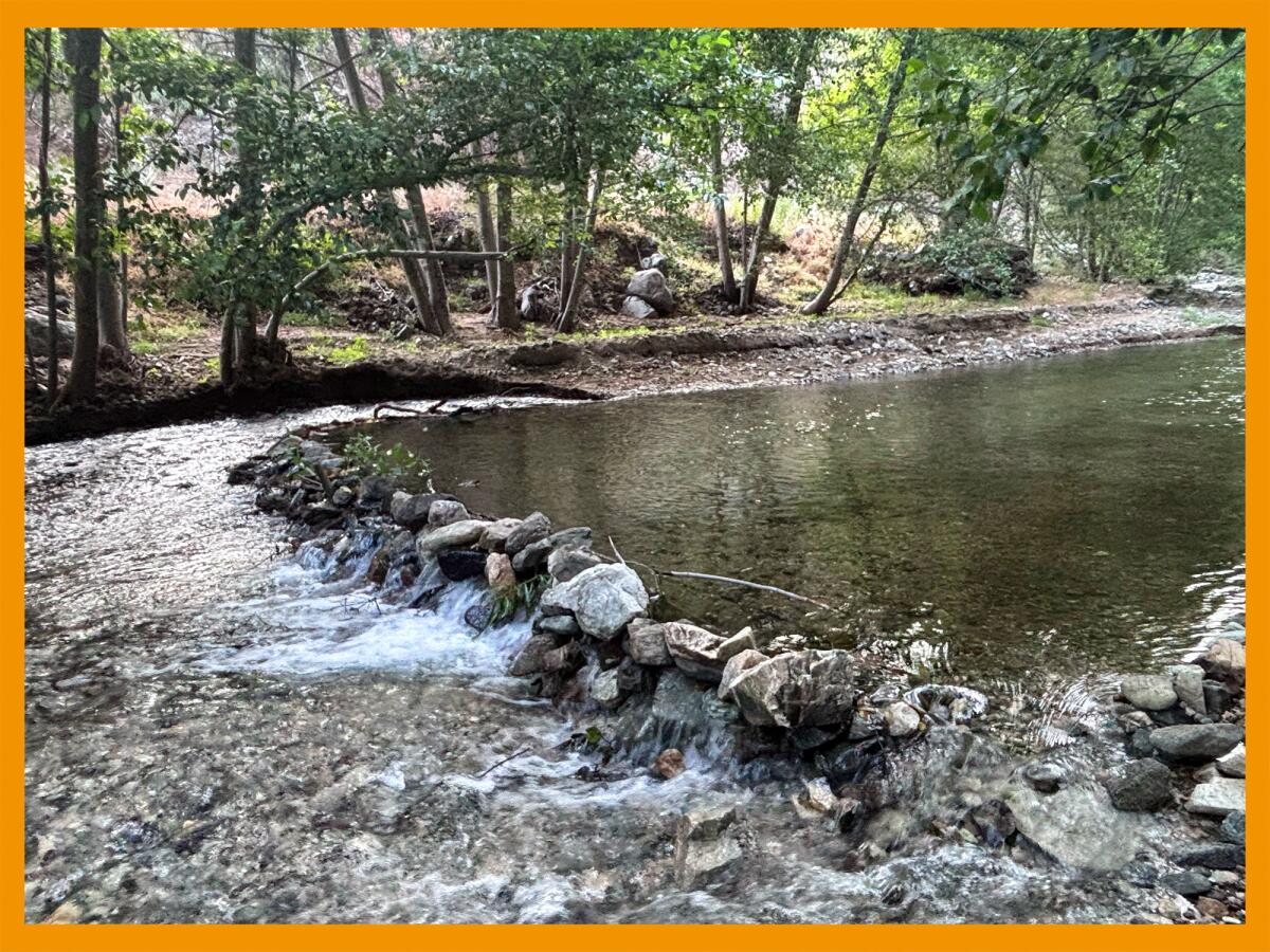Water flowing through small dam along river surrounded by trees.