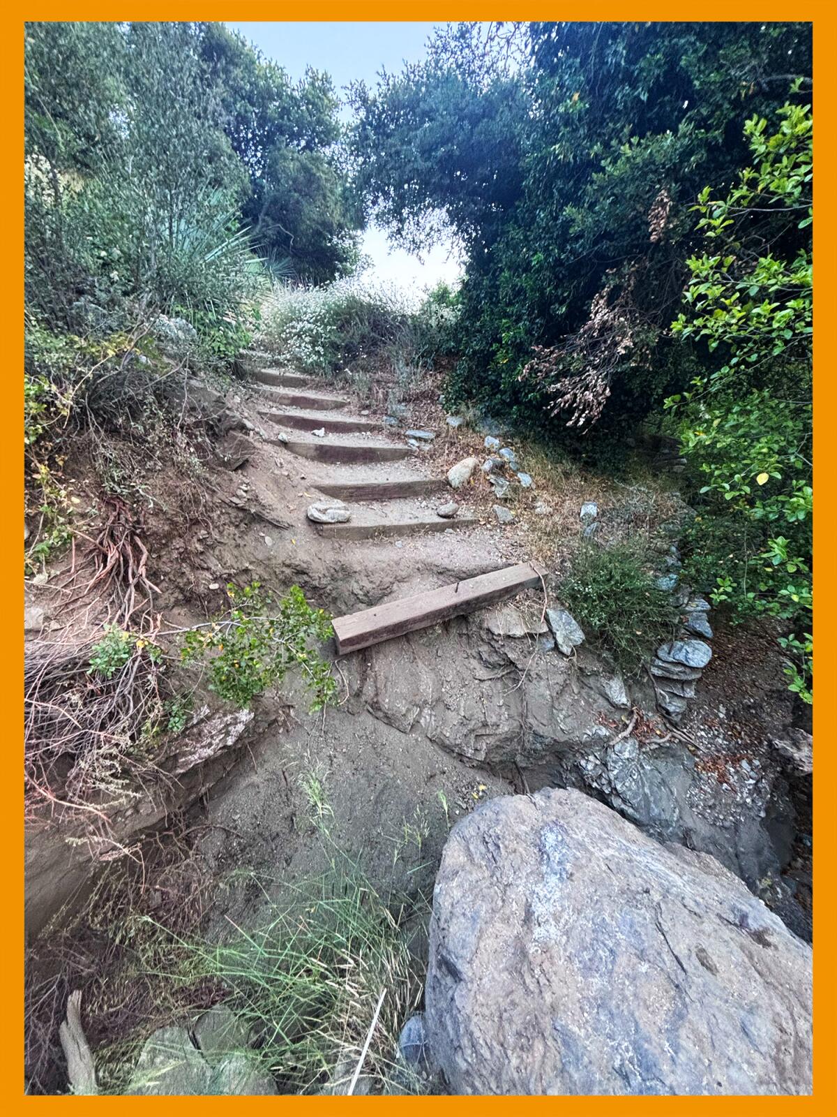 "Stairs" made out of wood planks leading up a steep incline.