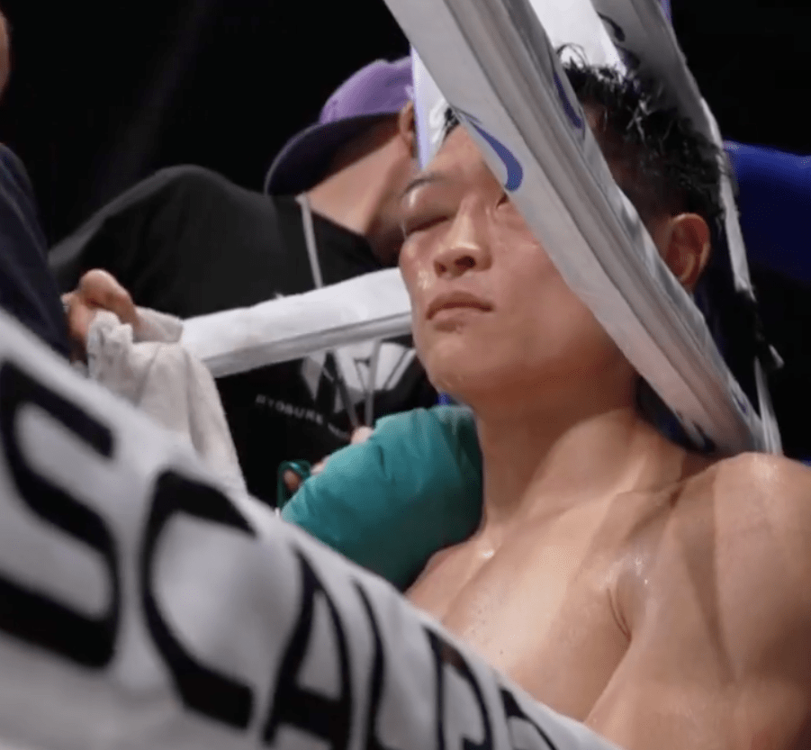 Injured boxer with bandages on her face.