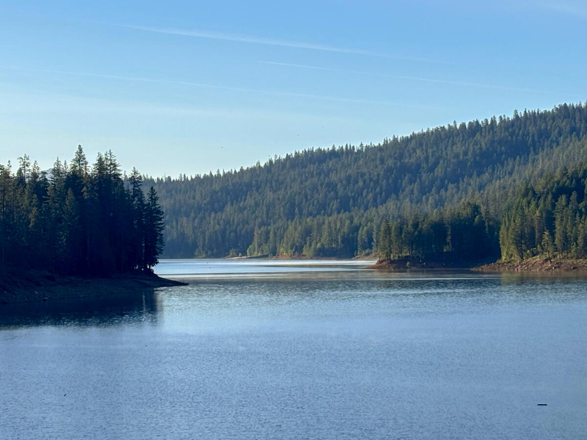 A large body of water surrounded by trees.