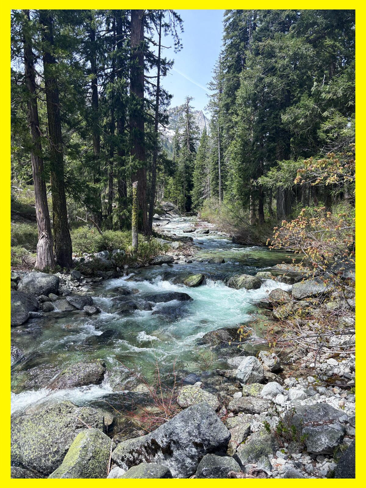 Blue-green water flowing through the woods.
