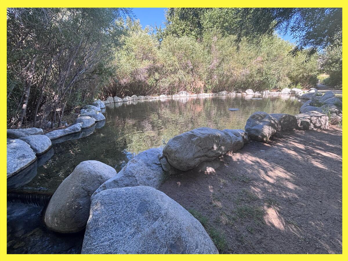 Swimming hole surrounded by boulders and shrubs.