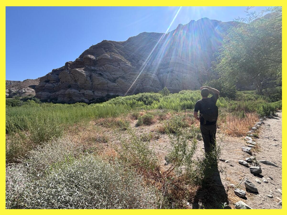 With his back toward the camera, Josh Jackson looks for bighorn sheep with rocky surroundings ahead of him.