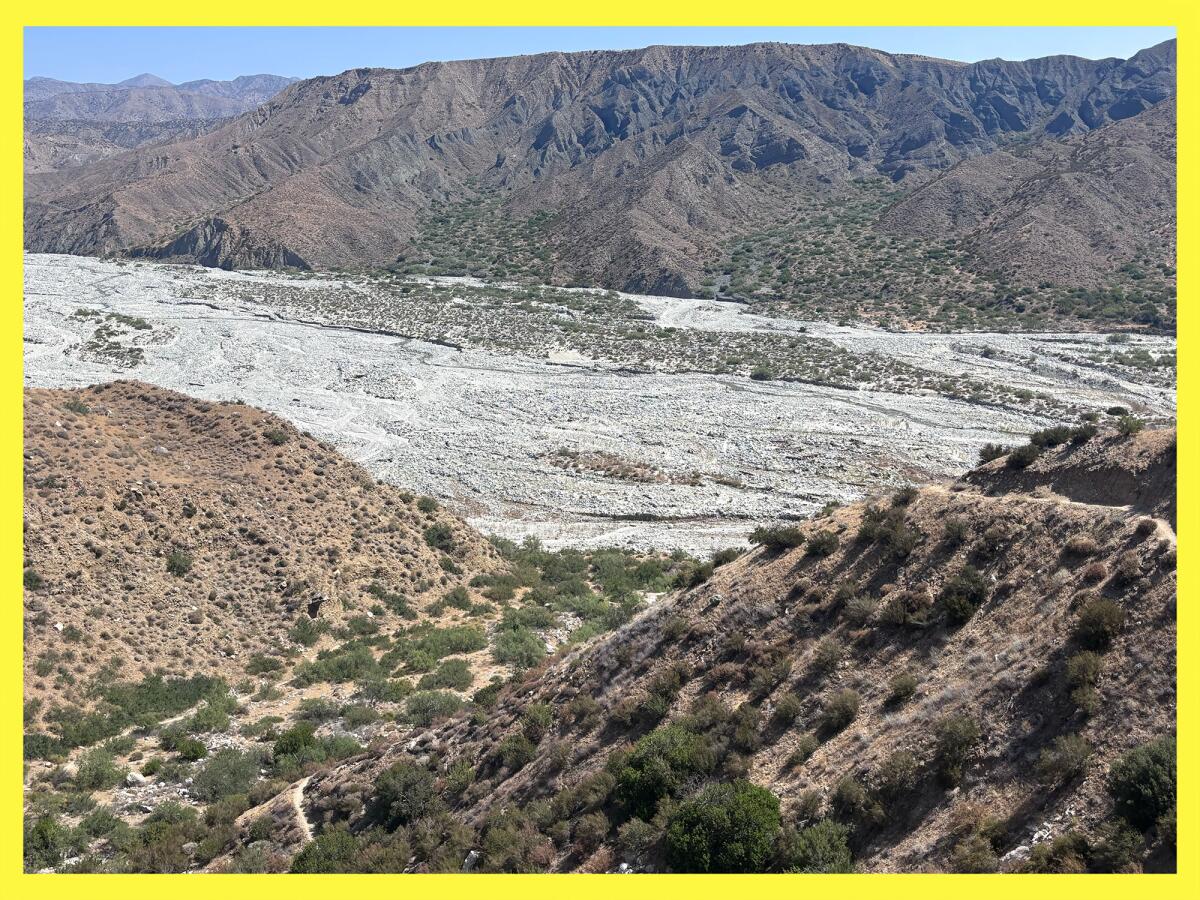 Overview of the sandy elevation the Bureau of Land Management land adjacent to the Whitewater Preserve.