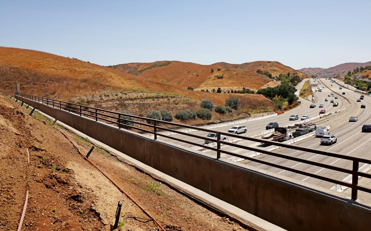 Overlooking 101 Freeway from atop the Wallis Annenberg Wildlife Crossing in Agoura Hills.